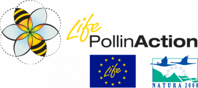https://www.techneprojects.eu/wp-content/uploads/2021/06/L_LIFE_POLLINaction_468x142_retina-1-400x179-1.png